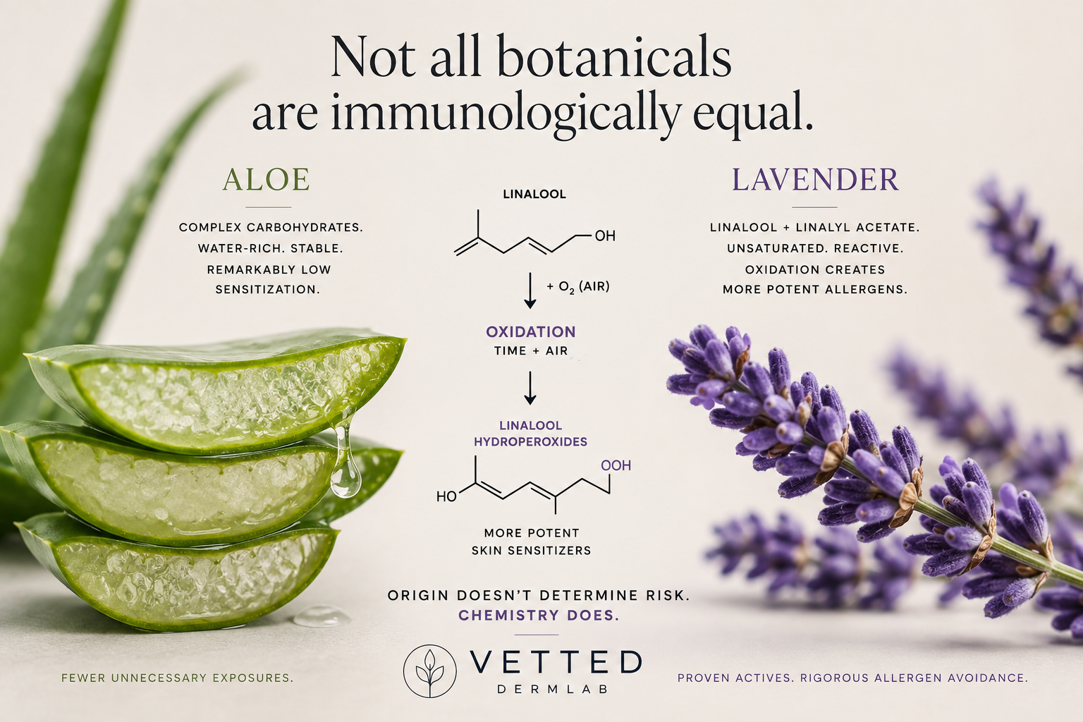 Aloe vs. Lavender: What Two Plants Can Teach Us About Skin Allergy